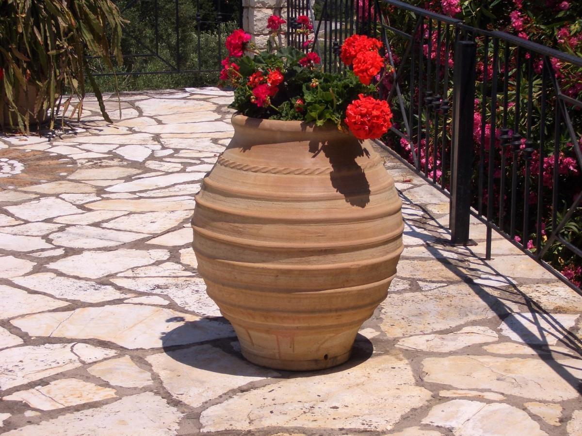 Villa Bacchus Kassiopi Corfu Exterior photo