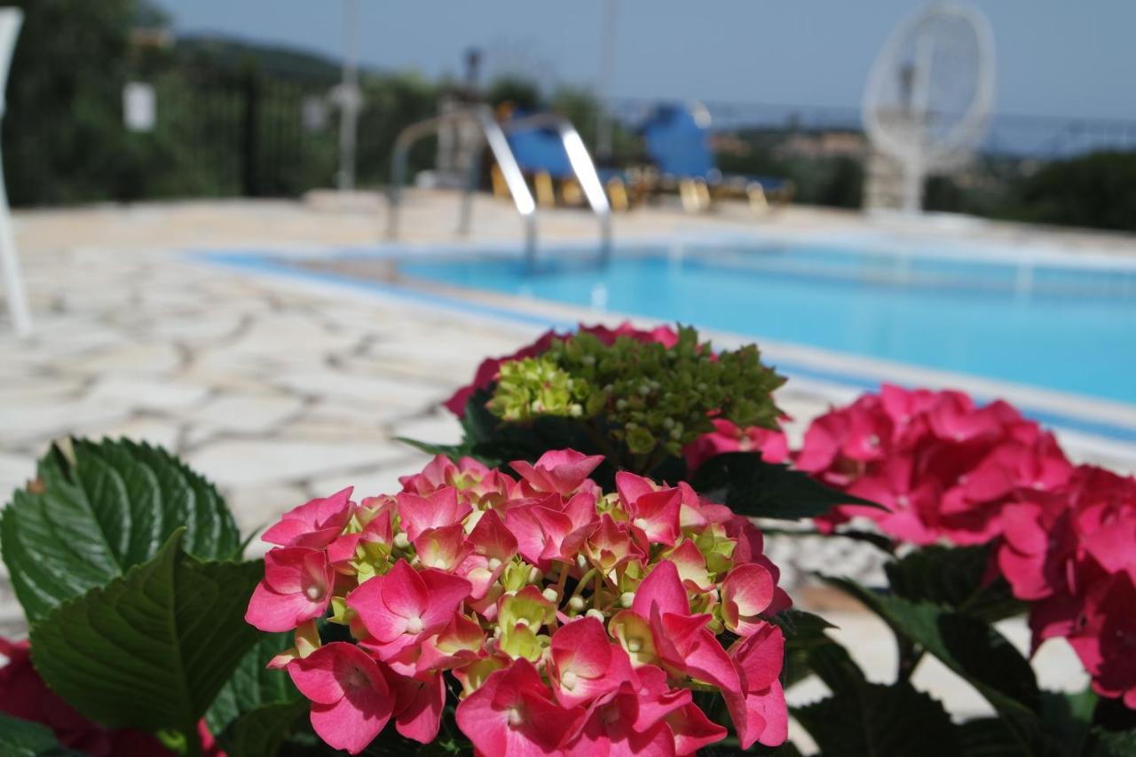 Villa Bacchus Kassiopi Corfu Exterior photo